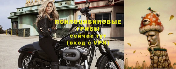 a pvp Алзамай