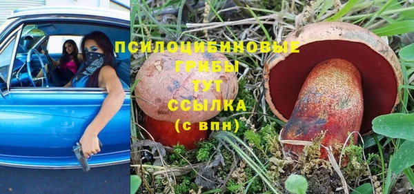 a pvp Алзамай