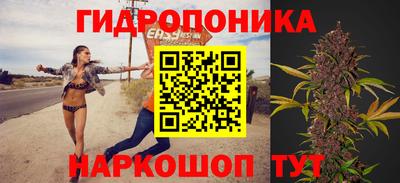 jwh Свободный